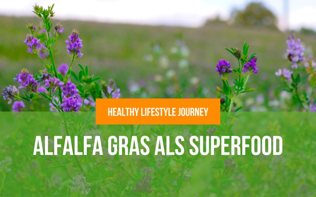 Blog Banner - alfalfa gras als superfood