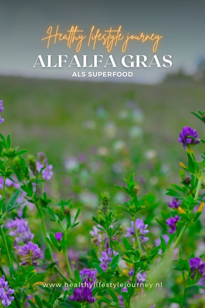 Pinterest Pin - alfalfa gras als superfood