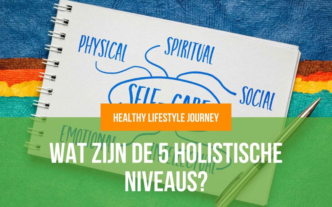 Wat zijn de 5 holistische niveaus?